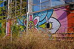 Click to see Y-WB-DSCF0136.JPG