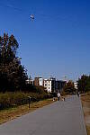 Click to see Y-WB-DSCF0151.JPG