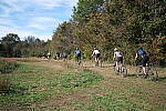 Click to see Y-WB-DSCF9551.JPG