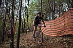 Click to see Y-WB-DSCF9732.JPG