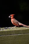 Click to see Y5-100-400-751.JPG
