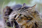 Click to see Y7-90mm-9436-edit.JPG