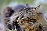 Click to see Y7-90mm-9436.JPG