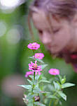 Click to see Y7-90mm-9481-edit.JPG