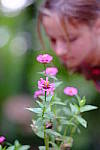 Click to see Y7-90mm-9481.JPG