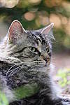 Click to see YA-50-140MM-045.JPG