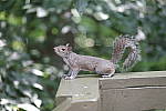 Click to see YA-50-140MM-077.JPG