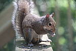 Click to see YA-50-140MM-078.JPG