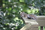 Click to see YA-50-140MM-084.JPG