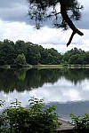 Click to see YA-50-140MM-206.JPG