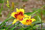 Click to see YA-50-140MM-207.JPG