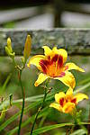 Click to see YA-50-140MM-213.JPG