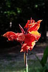 Click to see YA-50-140MM-277.JPG