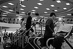 Click to see YDSCF0176.JPG