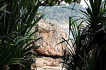 Click to see YDSCF5256.JPG