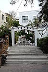 Click to see YDSCF5282.JPG