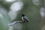 Click to see Y-DSF1707.JPG
