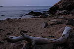 Click to see Y-DSF2025-ISO-800.JPG