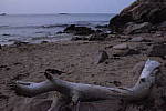 Click to see Y-DSF2042-ISO-51200.JPG