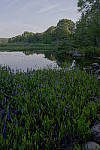 Click to see Y-DSF2427-Multiple-Exposure.JPG