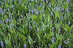 Click to see Y-DSF2435-ISO-400.JPG