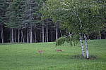 Click to see Y-DSF2460.JPG
