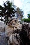 Click to see Y-E-10-24mm-786.JPG
