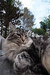 Click to see Y-E-10-24mm-789.JPG