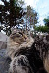 Click to see Y-E-10-24mm-796.JPG
