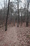 Click to see Y-E-10-24mm-DSCF1077.JPG