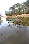 Click to see Y-E-10-24mm-DSCF1132.JPG