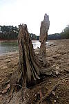 Click to see Y-E-10-24mm-DSCF1136.JPG
