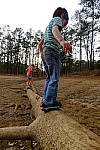 Click to see Y-E-10-24mm-DSCF1165.JPG