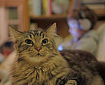 Click to see Y-E-35MM-0558-EDIT.JPG