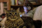 Click to see Y-E-35MM-0558.JPG