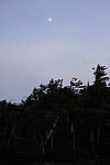 Click to see Y_DSF1739.JPG