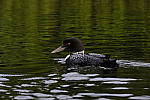 Click to see Y_DSF1853.JPG