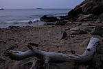 Click to see Y_DSF2031_NR_0_ISO-6400.JPG