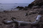 Click to see Y_DSF2044_NR_-1_ISO-51200.JPG