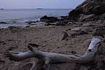Click to see Y_DSF2045_NR_0_ISO-51200.JPG