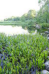 Click to see Y_DSF2430_Single-Exposure.JPG