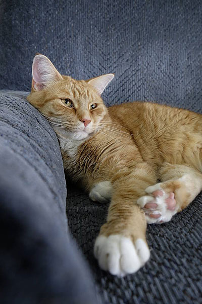 Fuji X-T10 review -- Sample photo