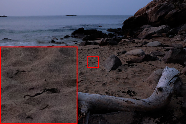 Fujifilm X-T10 Field Test -- Noise Reduction Image