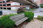 Click to see YDSCF2558.JPG