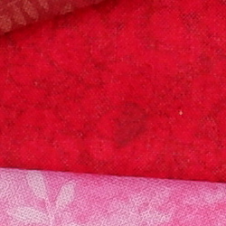 100% crop from Fujifilm X-T100 test image taken at ISO 200