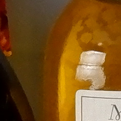 100% crop from Fujifilm X-T100 test image taken at ISO 3200
