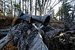 Click to see Y-AD-6097.JPG
