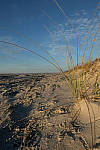 Click to see Y-AE-0224-EDIT.JPG