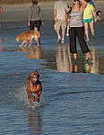 Click to see Y-AE-0234-EDIT.JPG