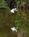 Click to see Y-AE-0314-EDIT.JPG